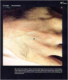 大陆性视频,揭秘地球气候多样性