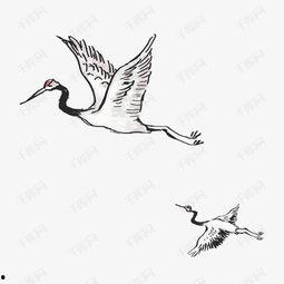 水墨画鹤视频,鹤舞翩跹映古今