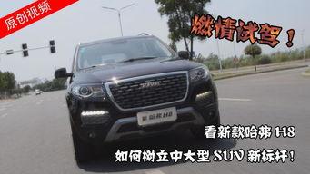 新h8视频,探索科技前沿，引领未来生活新篇章