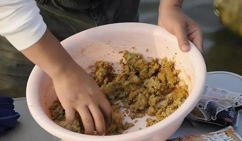 拉饵的手法视频