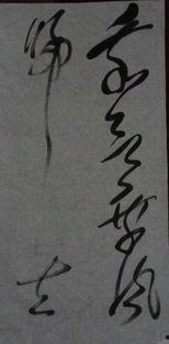 李斌权书法视频,笔触间的文化传承与艺术魅力