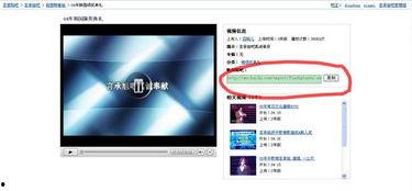 视频多的网站,盘点热门视频网站精彩内容汇总