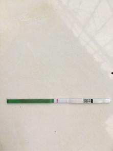 早孕试纸怎么用视频,视频演示详解