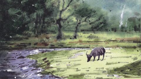 水彩风景画视频教程