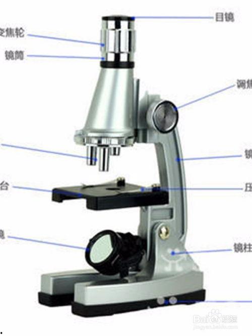 显微镜使用视频,视频教程精华概述